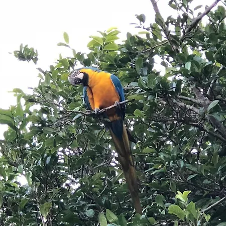 Pousada Vale Dos Canteiros-2