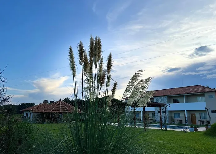 Pousada Flor Da CanastraPousada